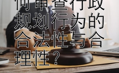 行政复议如何审查行政规划行为的合法性与合理性？