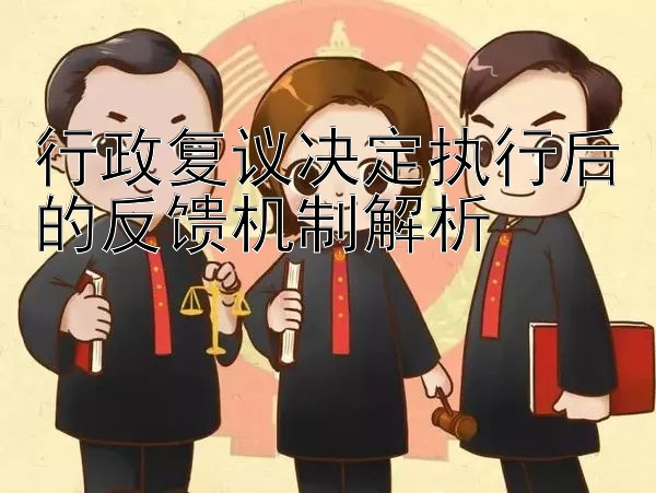 行政复议决定执行后的反馈机制解析