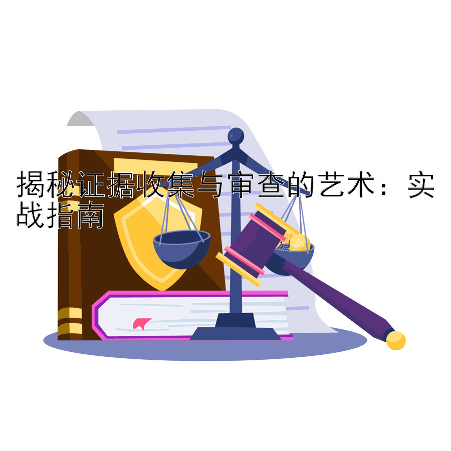 揭秘证据收集与审查的艺术：实战指南