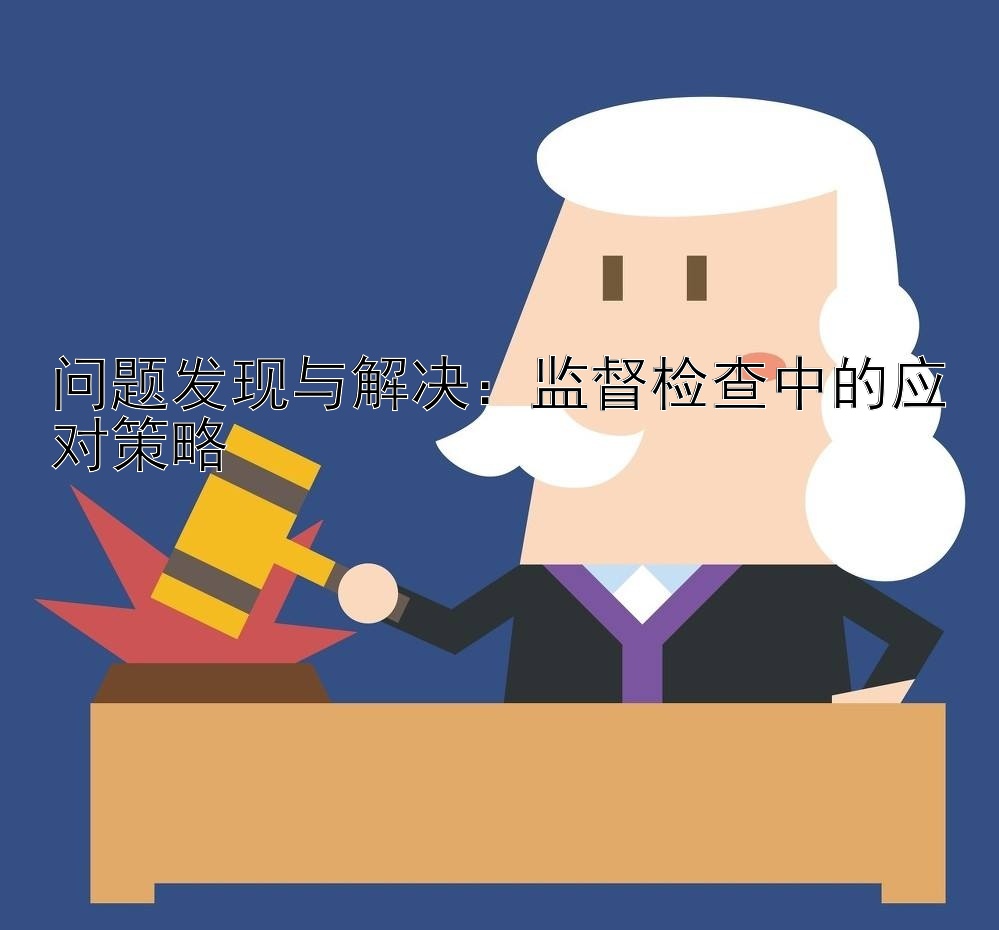 问题发现与解决：监督检查中的应对策略