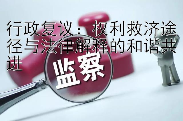 行政复议：权利救济途径与法律解释的和谐共进