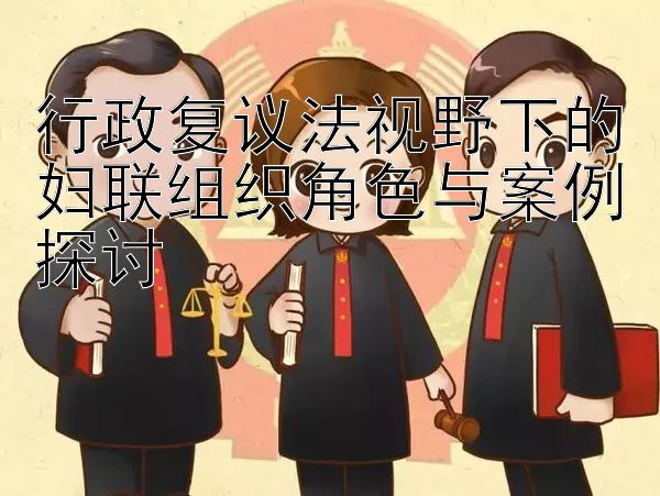 行政复议法视野下的妇联组织角色与案例探讨