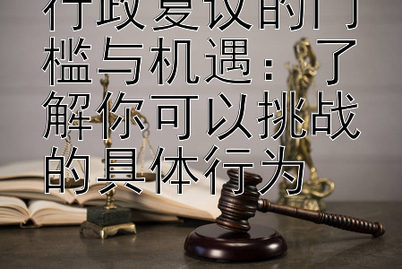 行政复议的门槛与机遇：了解你可以挑战的具体行为