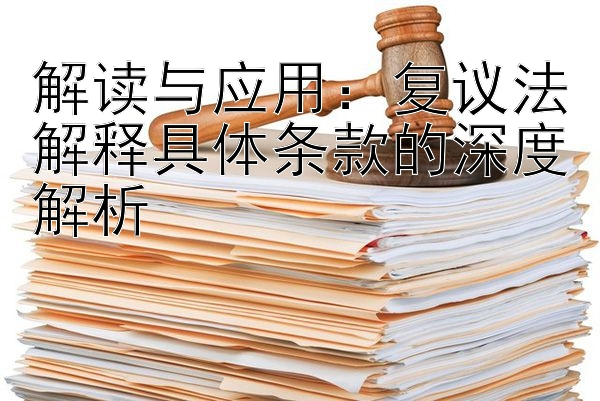 解读与应用：复议法解释具体条款的深度解析