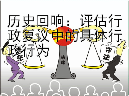 历史回响：评估行政复议中的具体行政行为