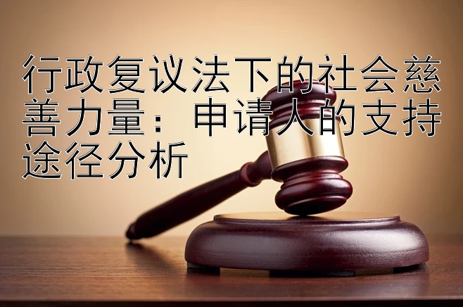 行政复议法下的社会慈善力量：申请人的支持途径分析