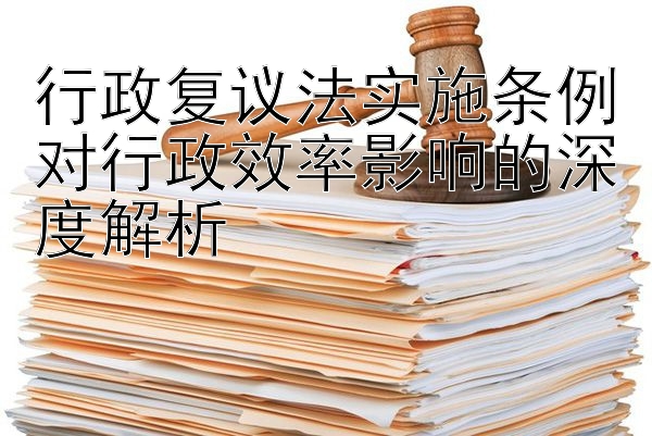 行政复议法实施条例对行政效率影响的深度解析