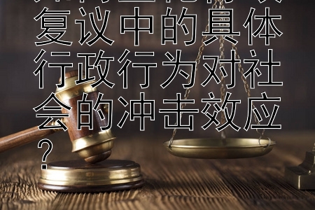 如何量化行政复议中的具体行政行为对社会的冲击效应？