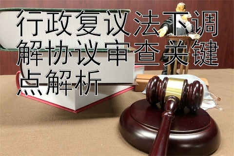 行政复议法下调解协议审查关键点解析