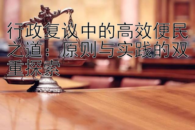 行政复议中的高效便民之道：原则与实践的双重探索