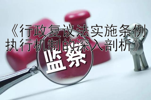 《行政复议法实施条例执行机制的深入剖析》