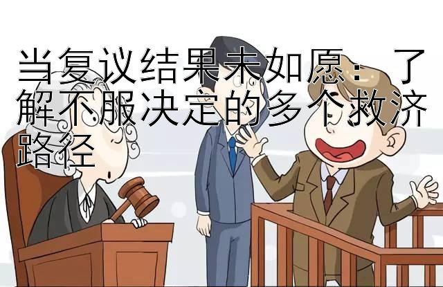 当复议结果未如愿：了解不服决定的多个救济路径