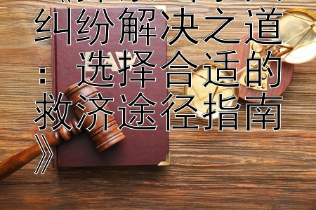 《探索当事人纠纷解决之道：选择合适的救济途径指南》