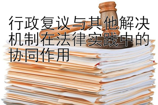 行政复议与其他解决机制在法律实践中的协同作用