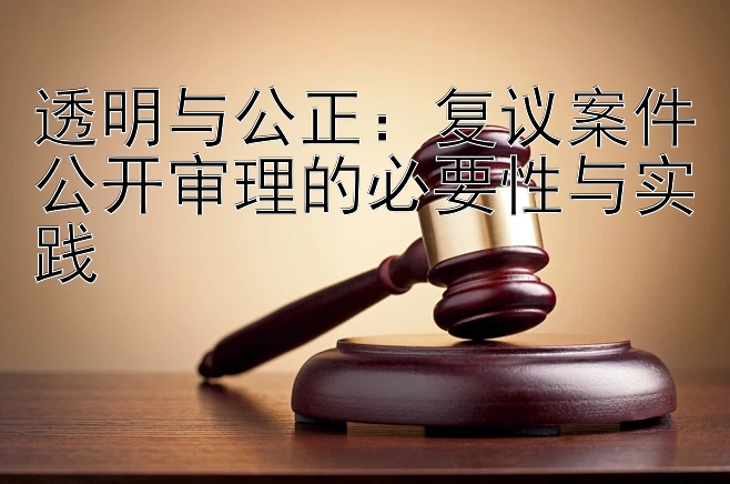 透明与公正：复议案件公开审理的必要性与实践