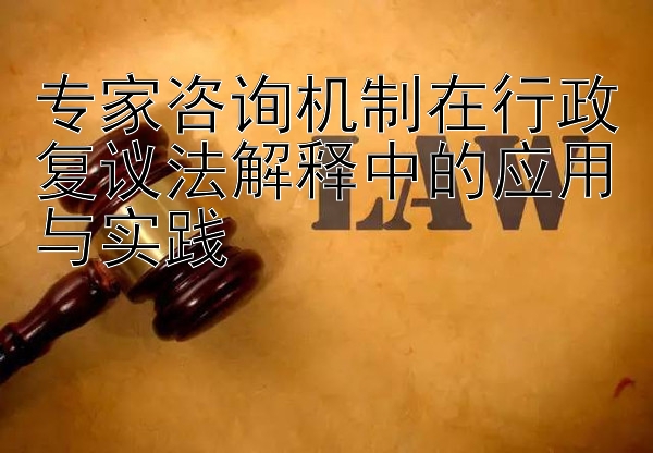 专家咨询机制在行政复议法解释中的应用与实践