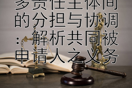 多责任主体间的分担与协调：解析共同被申请人之义务