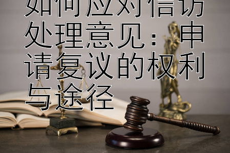 如何应对信访处理意见：申请复议的权利与途径