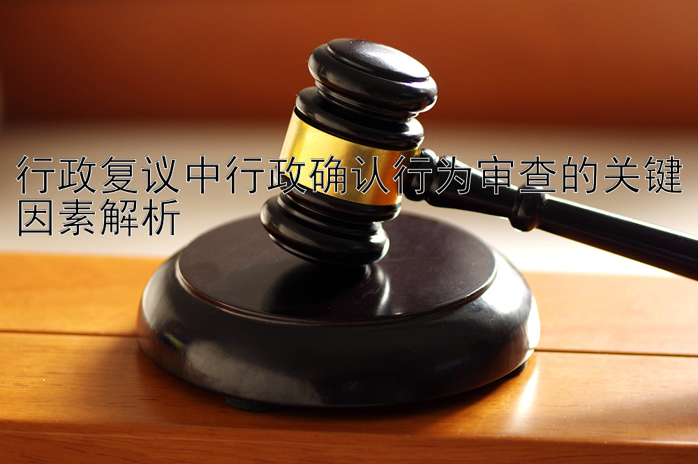 行政复议中行政确认行为审查的关键因素解析