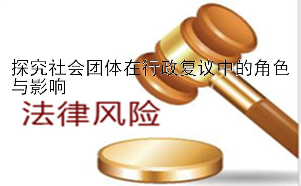 探究社会团体在行政复议中的角色与影响