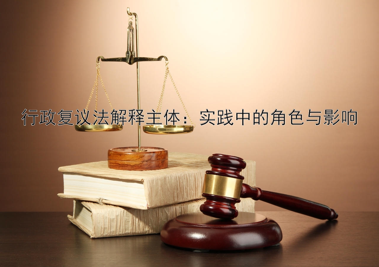 行政复议法解释主体：实践中的角色与影响