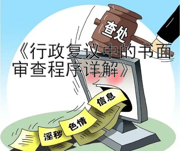 《行政复议中的书面审查程序详解》