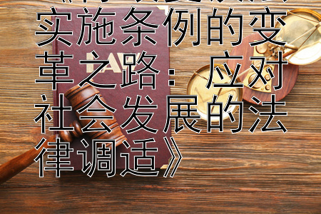 《行政复议法实施条例的变革之路：应对社会发展的法律调适》