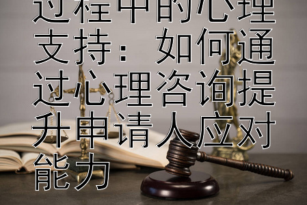 探索行政复议过程中的心理支持：如何通过心理咨询提升申请人应对能力