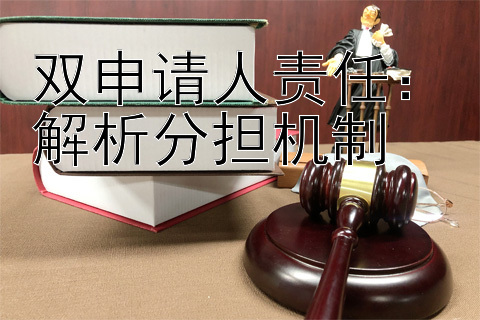 双申请人责任：解析分担机制