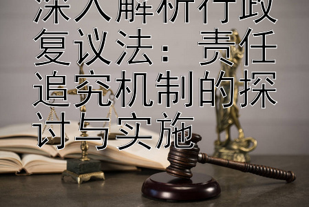 深入解析行政复议法：责任追究机制的探讨与实施