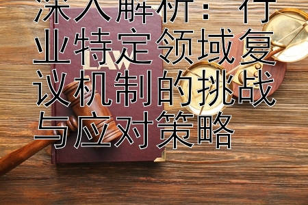 深入解析：行业特定领域复议机制的挑战与应对策略