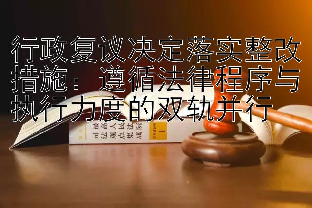 行政复议决定落实整改措施：遵循法律程序与执行力度的双轨并行