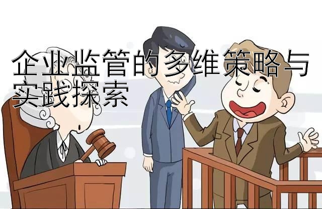 企业监管的多维策略与实践探索