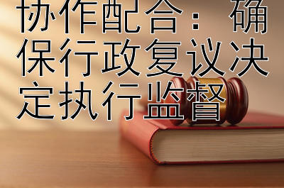 协作配合：确保行政复议决定执行监督