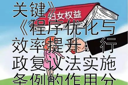 《行政复议法实施条例：提升复议效率的关键》
《程序优化与效率提升：行政复议法实施条例的作用分析》