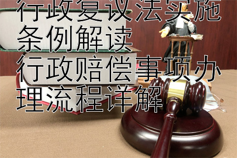 行政复议法实施条例解读  
行政赔偿事项办理流程详解