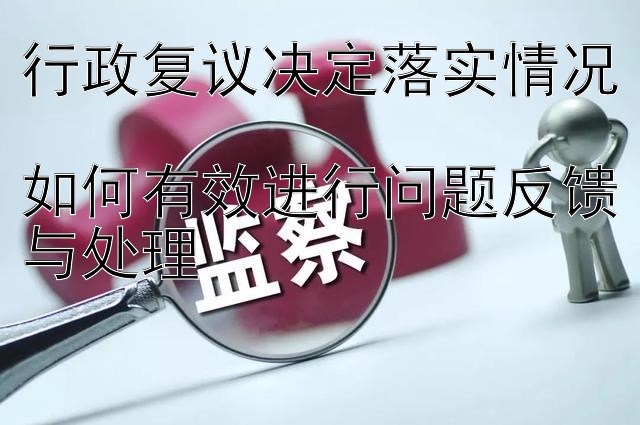 行政复议决定落实情况  
如何有效进行问题反馈与处理