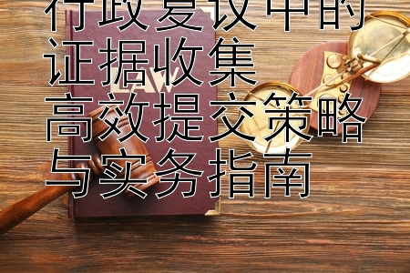 行政复议中的证据收集  
高效提交策略与实务指南